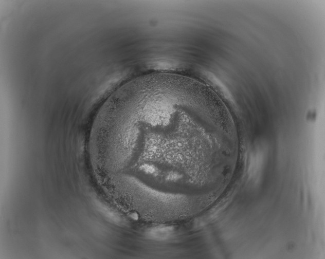 X0000092090257200709191251