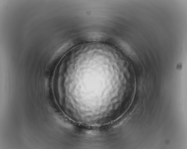 X0000092090258200709191251