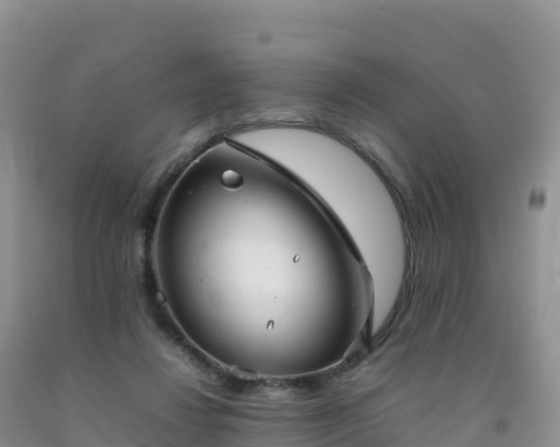 X0000092090260200709191251