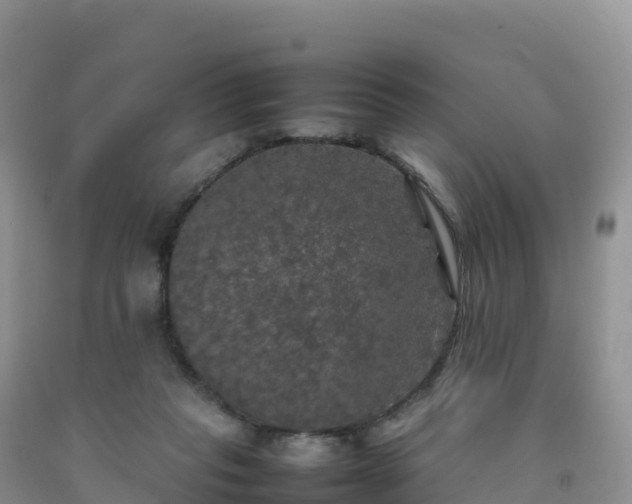 X0000092090261200709191251