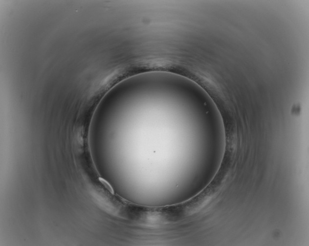 X0000092090264200709191251