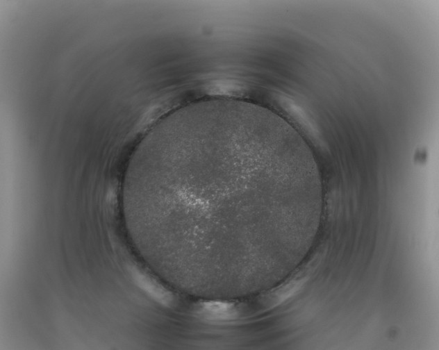 X0000092090265200709191251