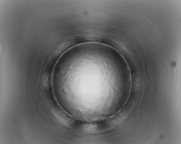 X0000092090266200709191251