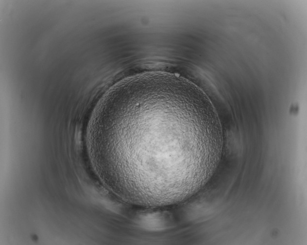 X0000092090267200709191251