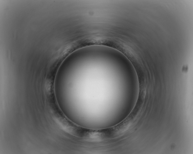 X0000092090268200709191251