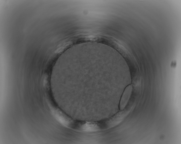 X0000092090270200709191251