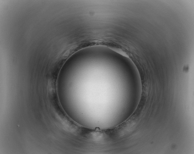 X0000092090272200709191251