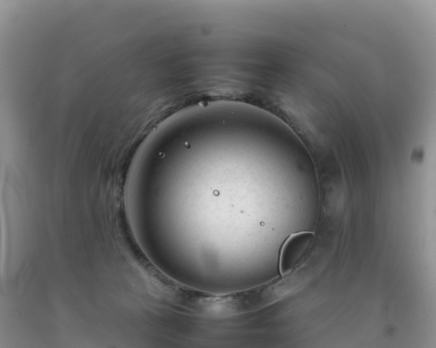 X0000092090273200709191251