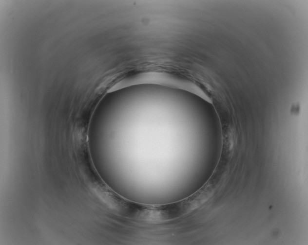 X0000092090276200709191252