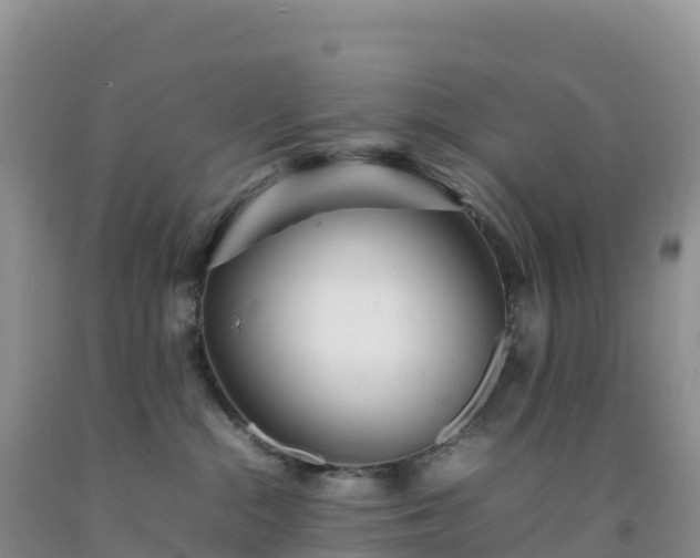 X0000092090284200709191252