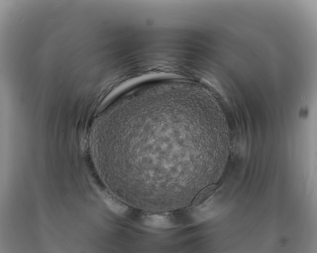 X0000092090285200709191252