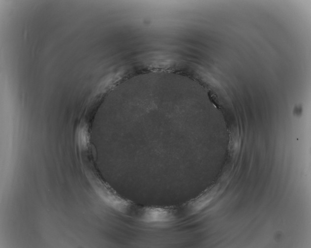 X0000092090287200709191252