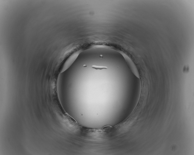 X0000092090288200709191252