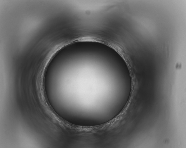 X0000092090289200709191251