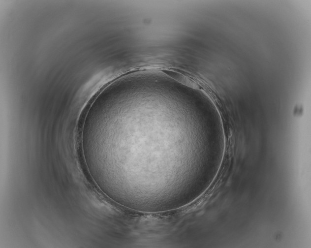 X0000092090290200709191251