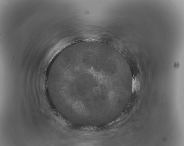X0000092090291200709191251