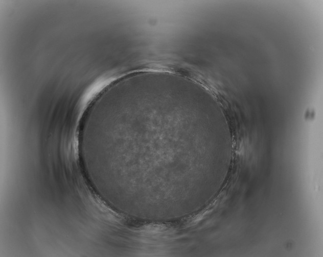X0000092090294200709191251