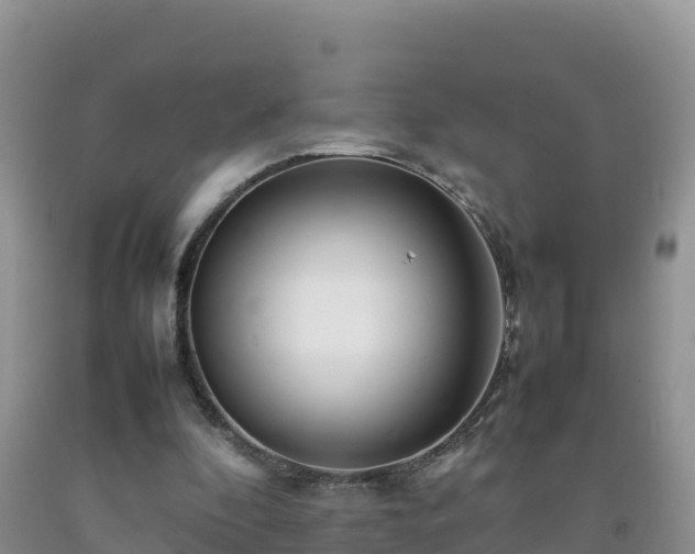 X0000092090296200709191251