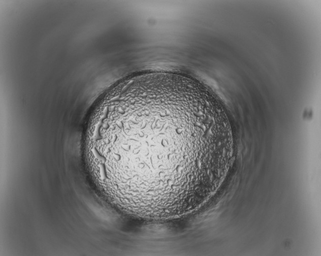 X0000092090299200709191251