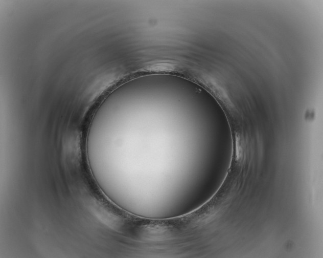 X0000092090300200709191251