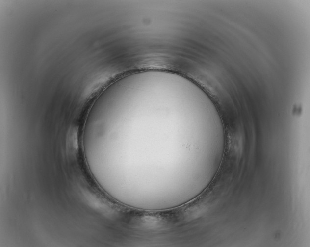 X0000092090302200709191251
