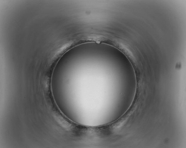 X0000092090305200709191251