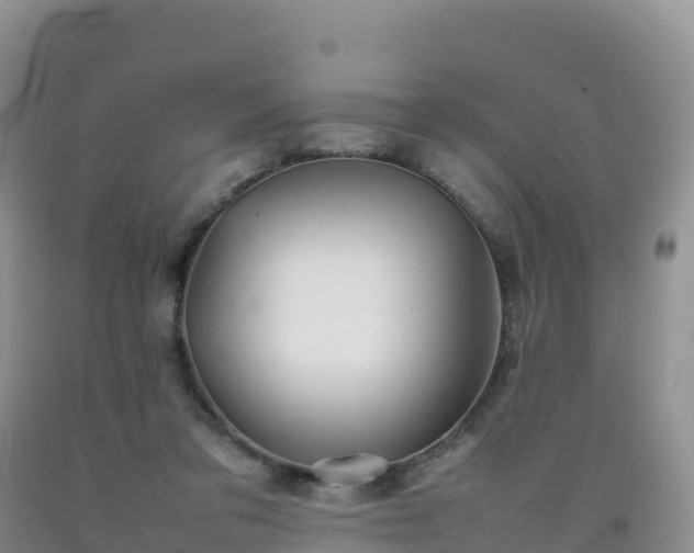 X0000092090309200709191251
