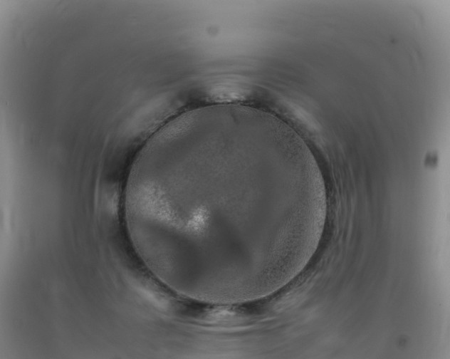 X0000092090315200709191251