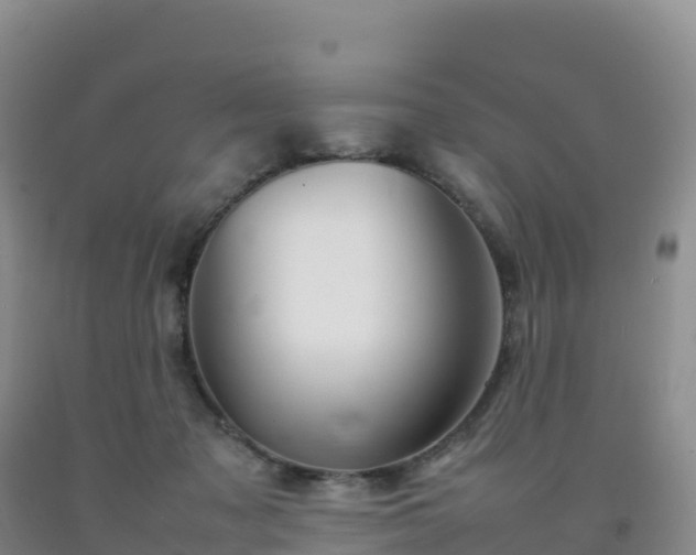 X0000092090317200709191251