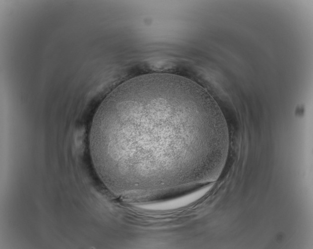X0000092090319200709191251