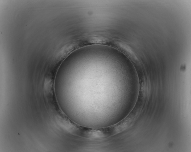 X0000092090322200709191251