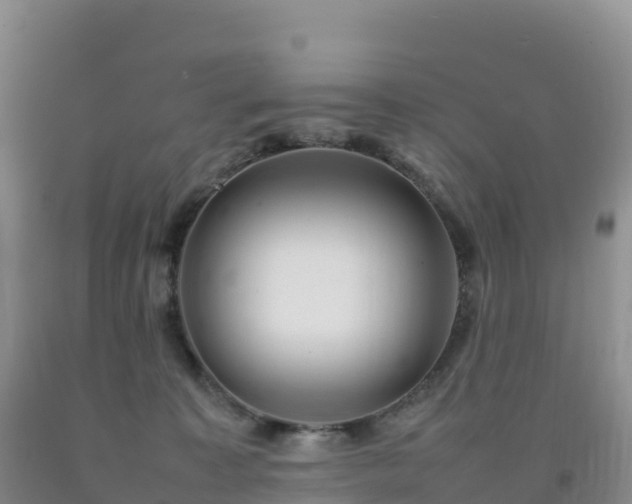 X0000092090323200709191250