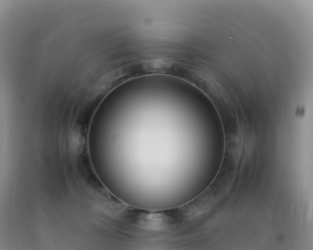 X0000092090324200709191250
