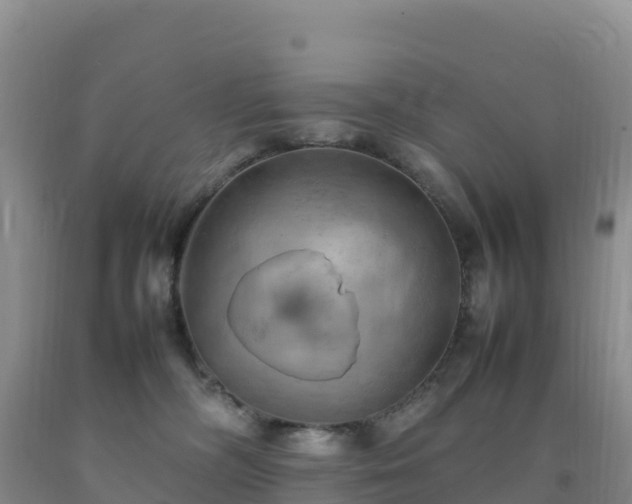 X0000092090326200709191250
