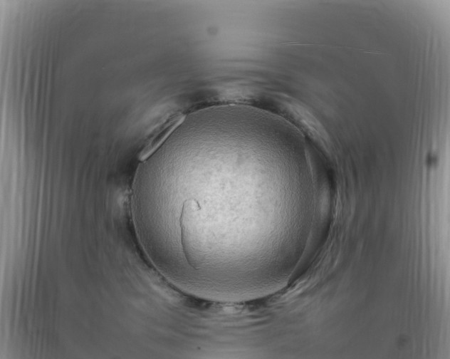 X0000092090329200709191250
