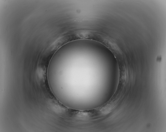 X0000092090332200709191250