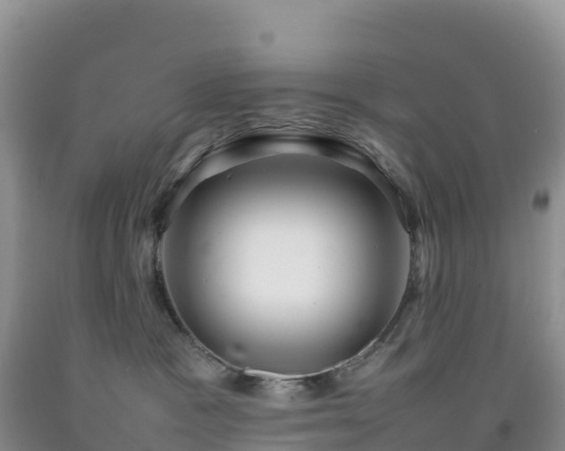 X0000092090333200709191250