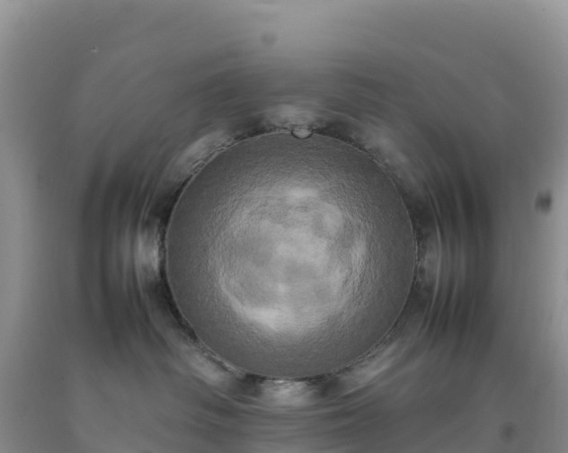 X0000092090334200709191250