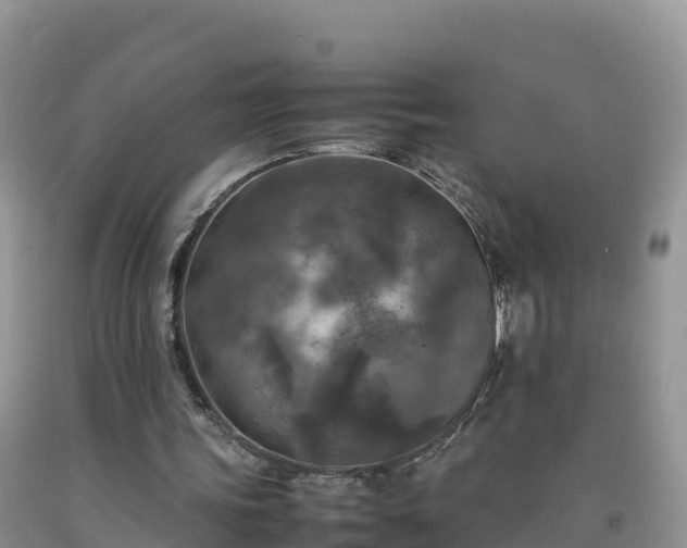 X0000092090339200709191250