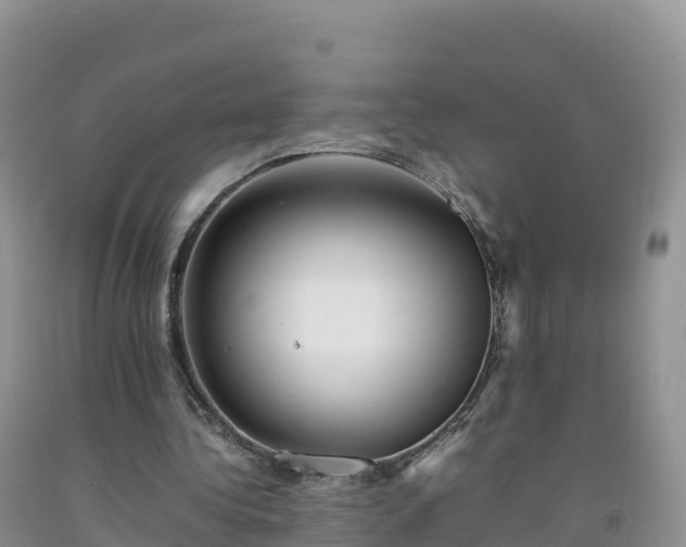 X0000092090340200709191250