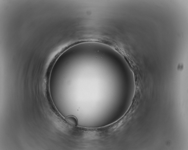 X0000092090342200709191250