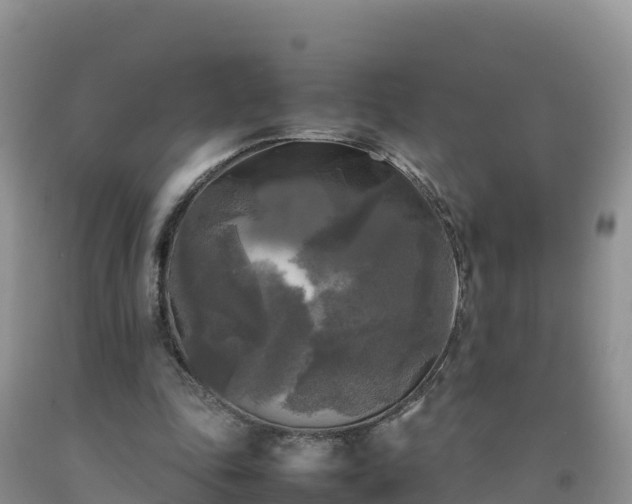 X0000092090343200709191250
