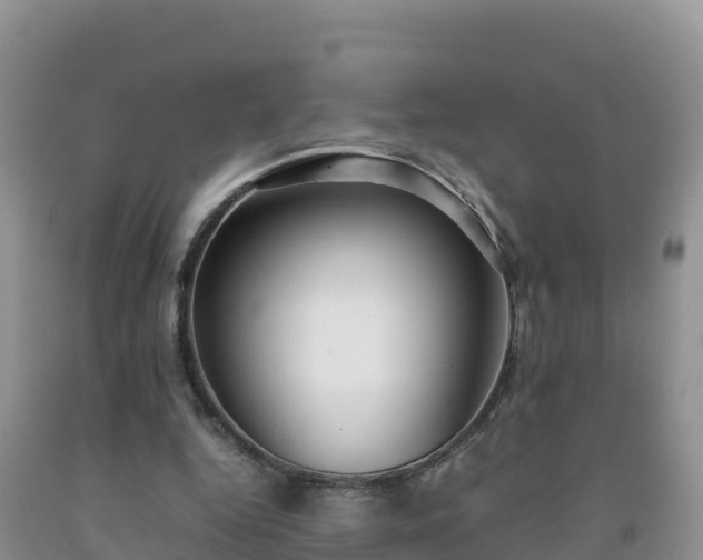 X0000092090344200709191250