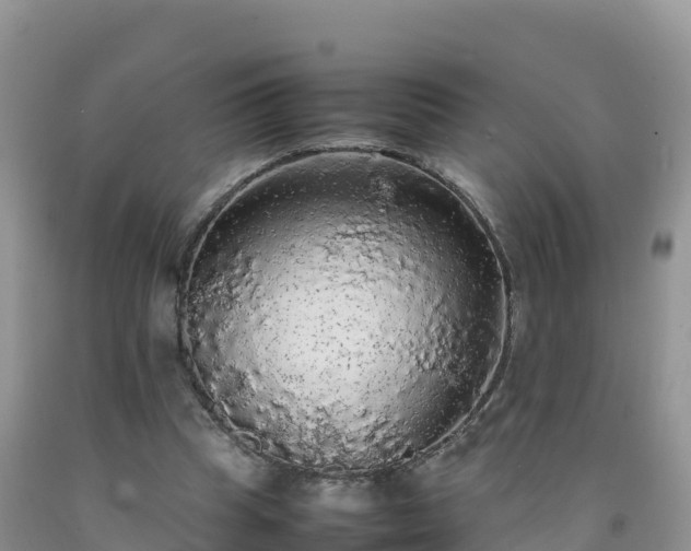 X0000092090345200709191250