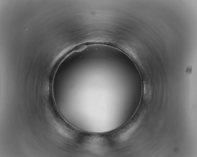 X0000092090348200709191250
