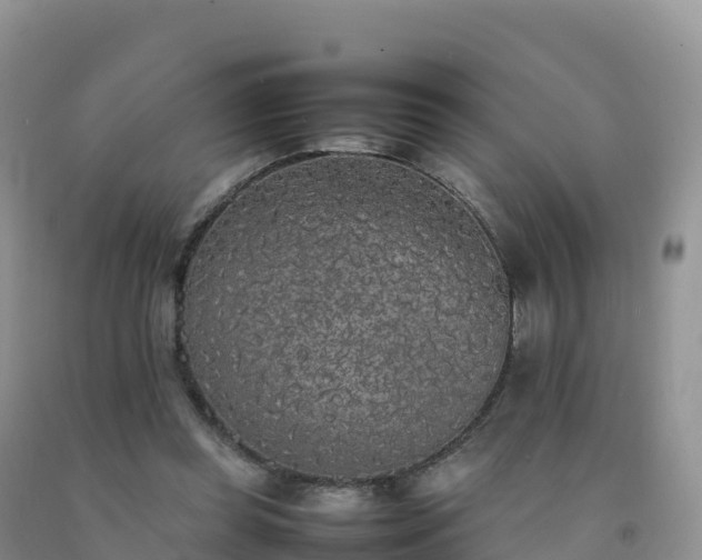 X0000092090349200709191250