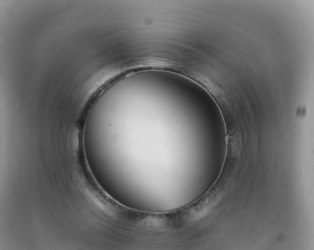 X0000092090350200709191250