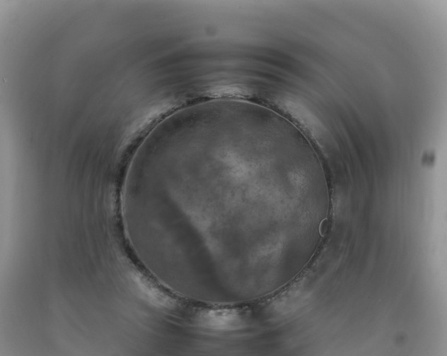X0000092090353200709191250