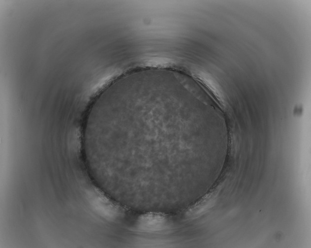 X0000092090354200709191250