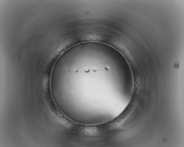 X0000092090355200709191250